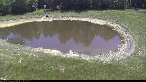 Basin Right_24-05-23_13-14-40-34