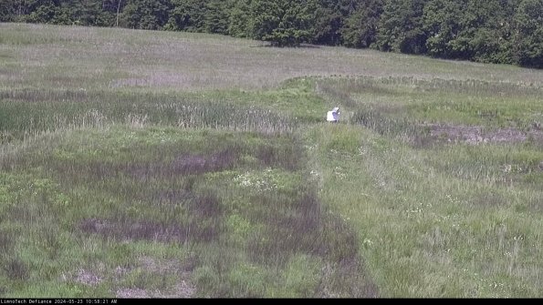 Cell 1 to 2_24-05-23_10-58-22-32