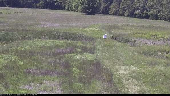 Cell 1 to 2_24-05-23_13-45-49-32