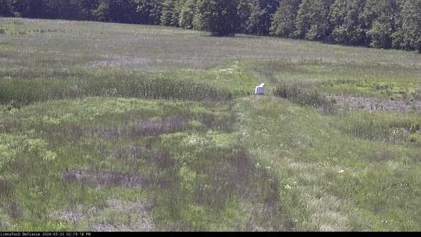 Cell 1 to 2_24-05-23_14-19-19-34