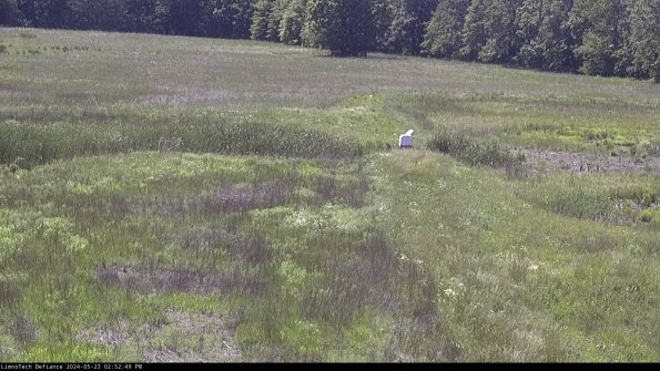 Cell 1 to 2_24-05-23_14-52-50-33