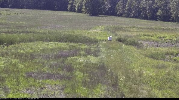 Cell 1 to 2_24-05-23_15-59-48-33