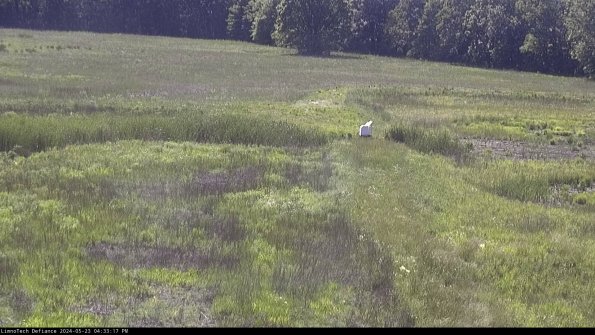 Cell 1 to 2_24-05-23_16-33-18-32