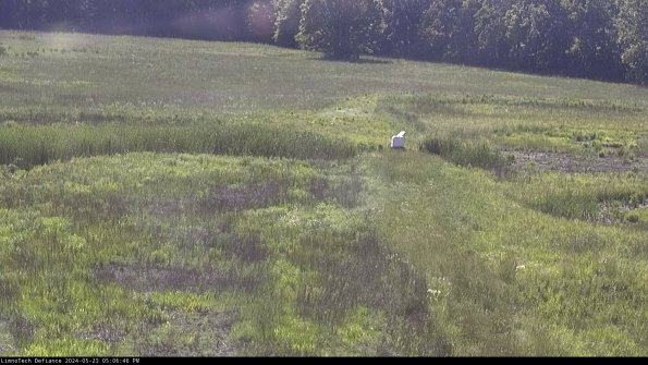 Cell 1 to 2_24-05-23_17-06-47-34