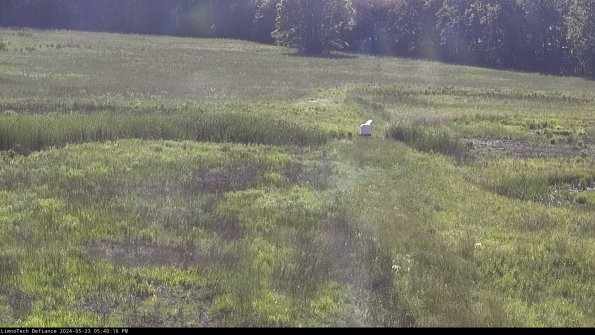 Cell 1 to 2_24-05-23_17-40-17-32