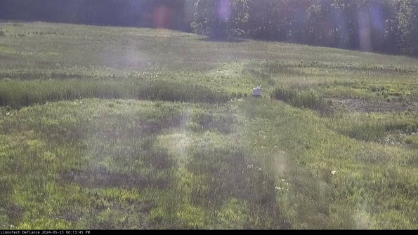 Cell 1 to 2_24-05-23_18-13-46-34