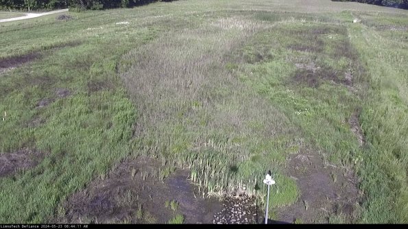 Cell 1_24-05-23_08-44-12-33