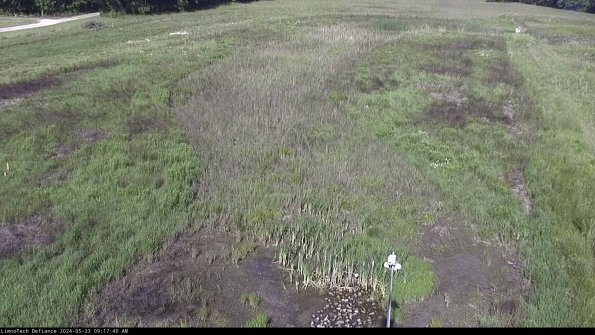 Cell 1_24-05-23_09-17-41-35