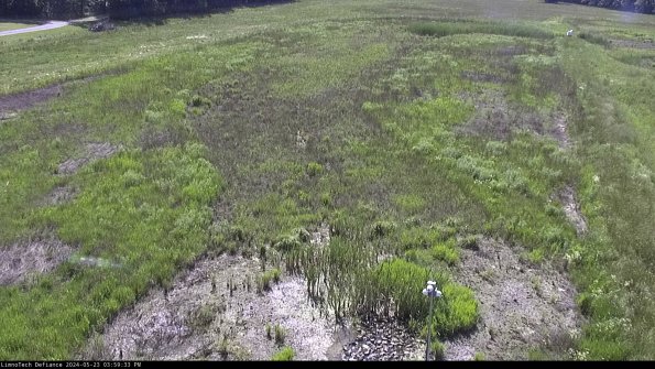 Cell 1_24-05-23_15-59-34-32