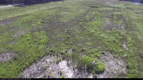 Cell 1_24-05-23_16-33-04-30