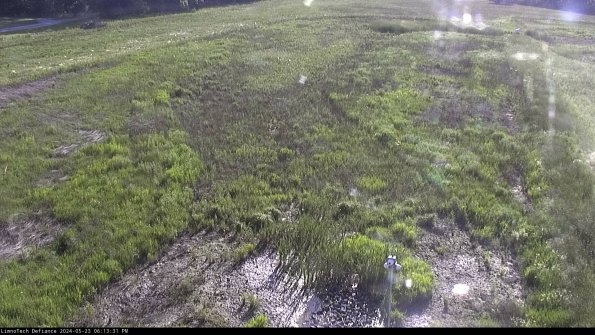 Cell 1_24-05-23_18-13-32-32