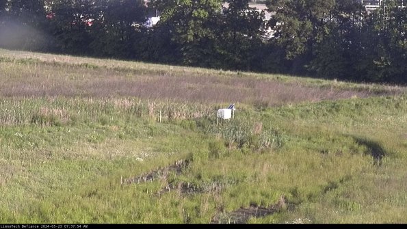 Cell 2 to 3_24-05-23_07-37-54-47