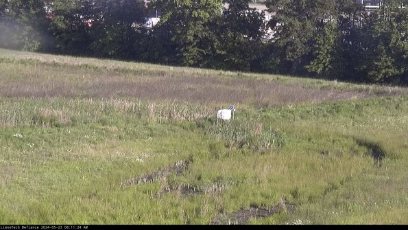 Cell 2 to 3_24-05-23_08-11-24-45