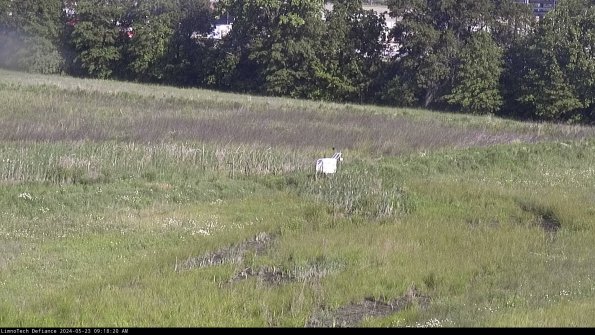 Cell 2 to 3_24-05-23_09-18-21-42