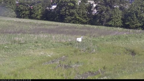 Cell 2 to 3_24-05-23_09-51-49-54