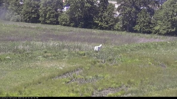 Cell 2 to 3_24-05-23_13-46-15-45