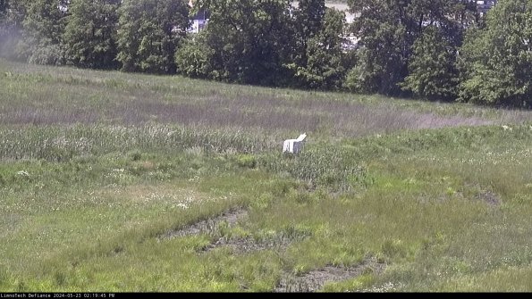 Cell 2 to 3_24-05-23_14-19-45-47