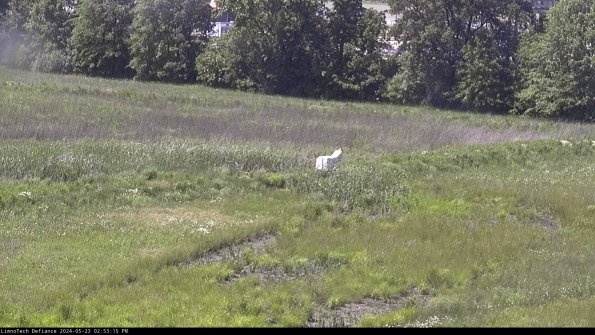 Cell 2 to 3_24-05-23_14-53-16-42