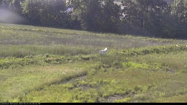 Cell 2 to 3_24-05-23_17-40-43-42