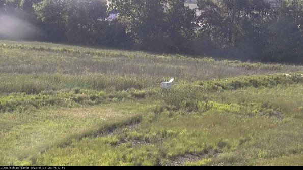 Cell 2 to 3_24-05-23_18-14-12-53