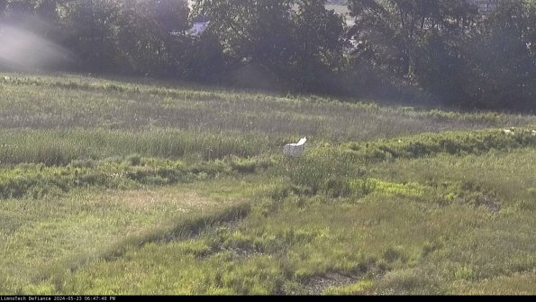 Cell 2 to 3_24-05-23_18-47-41-38