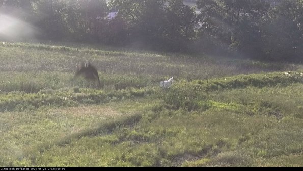 Cell 2 to 3_24-05-23_19-21-09-50