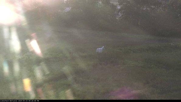 Cell 2 to 3_24-05-23_20-28-08-44