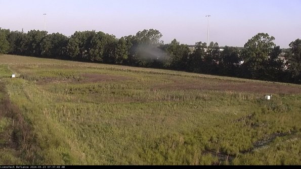 Cell 2_24-05-23_07-37-41-35