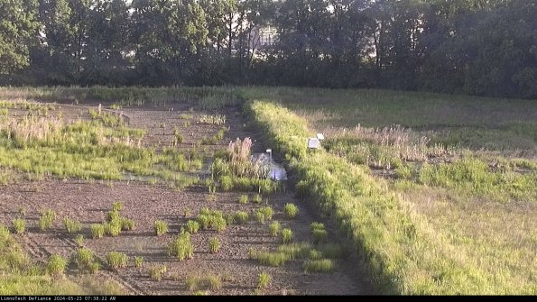 Cell 3 to 4_24-05-23_07-38-23-33