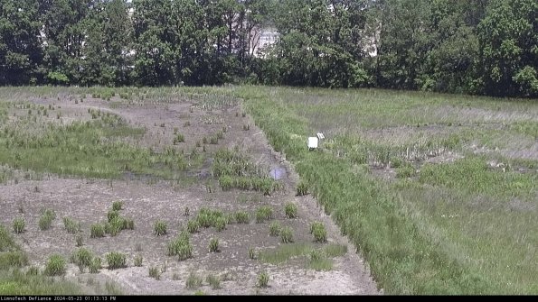 Cell 3 to 4_24-05-23_13-13-14-32