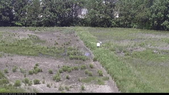 Cell 3 to 4_24-05-23_13-46-44-34