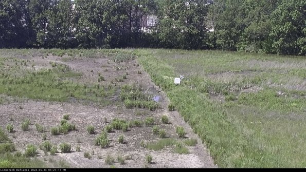 Cell 3 to 4_24-05-23_15-27-12-33