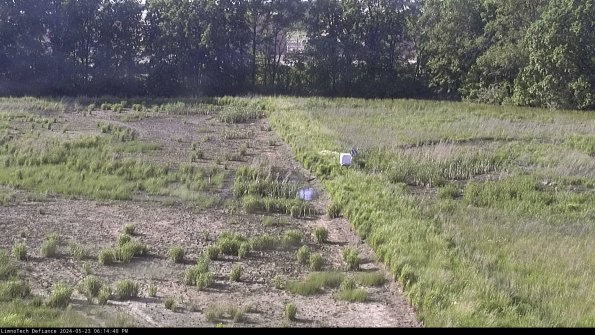 Cell 3 to 4_24-05-23_18-14-41-33