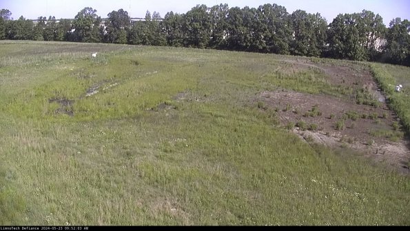 Cell 3_24-05-23_09-52-04-32