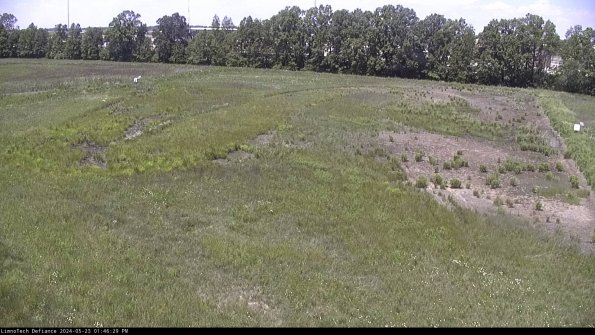 Cell 3_24-05-23_13-46-30-33