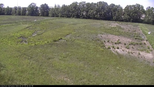 Cell 3_24-05-23_15-26-58-55