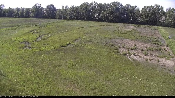 Cell 3_24-05-23_16-33-59-33