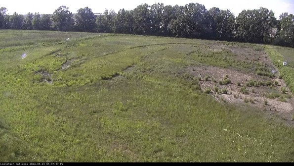 Cell 3_24-05-23_17-07-28-31