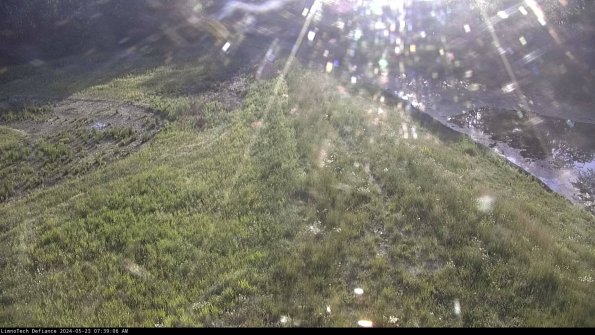 Cell 4 to Basin_24-05-23_07-39-07-37