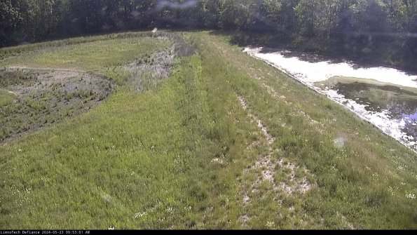 Cell 4 to Basin_24-05-23_09-53-02-32