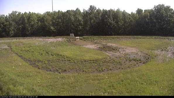 Cell 4_24-05-23_10-26-02-34