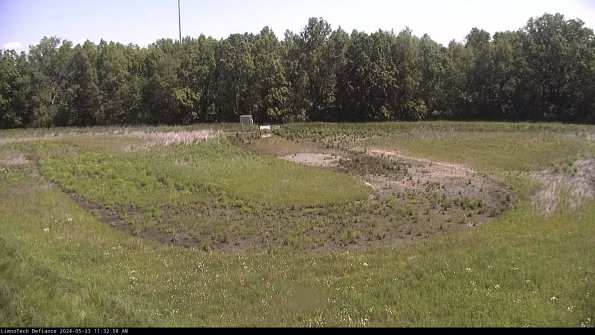 Cell 4_24-05-23_11-32-59-34