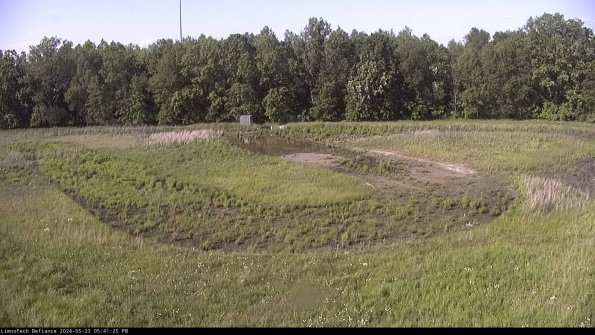 Cell 4_24-05-23_17-41-26-33