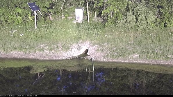 Basin Inflow_24-05-25_19-56-41-57