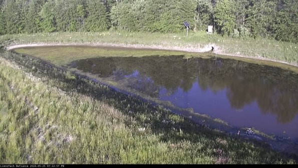 Basin_24-05-25_19-22-58-40