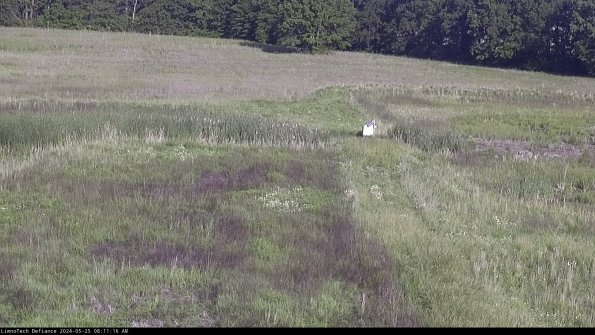 Cell 1 to 2_24-05-25_08-11-17-33