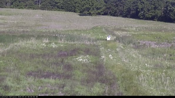 Cell 1 to 2_24-05-25_08-44-47-32