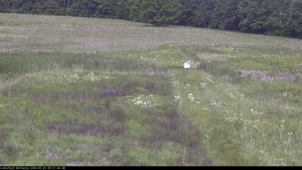 Cell 1 to 2_24-05-25_09-51-45-32