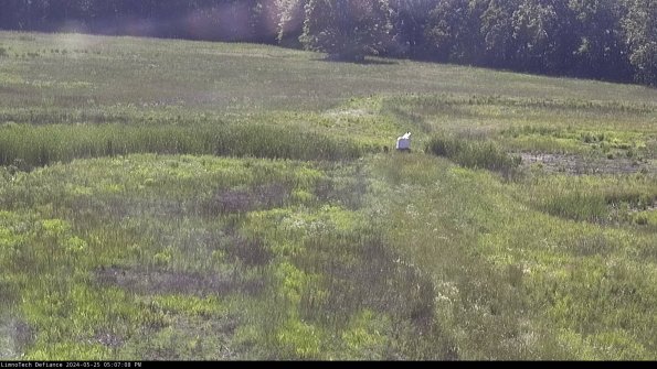 Cell 1 to 2_24-05-25_17-07-09-31