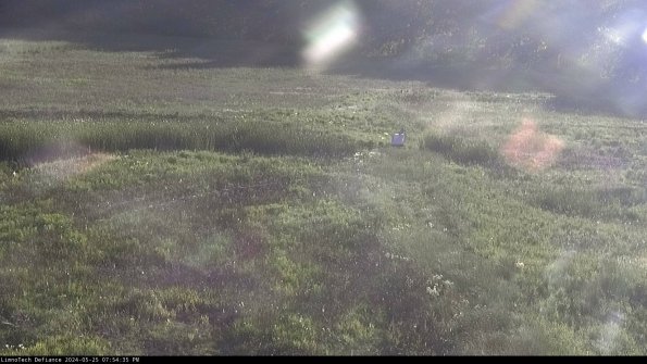 Cell 1 to 2_24-05-25_19-54-36-34